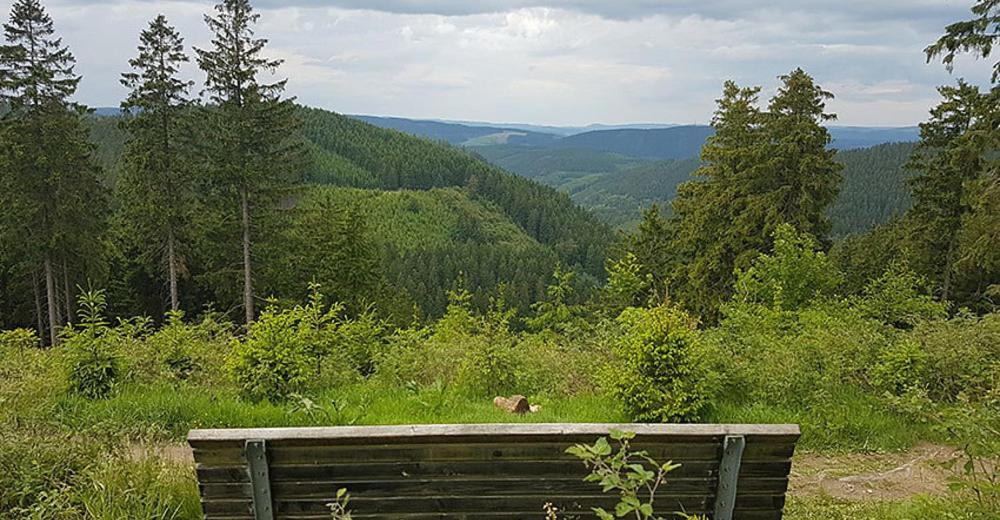 Ferienhaus Astenblick - Ideal Fuer Weihnachtsfeiern Und Familienfeiern Bietet Schlafplaetze Fuer Bis Zu 35 Personen Villa Winterberg Eksteriør bilde